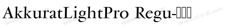 AkkuratLightPro Regu字体转换